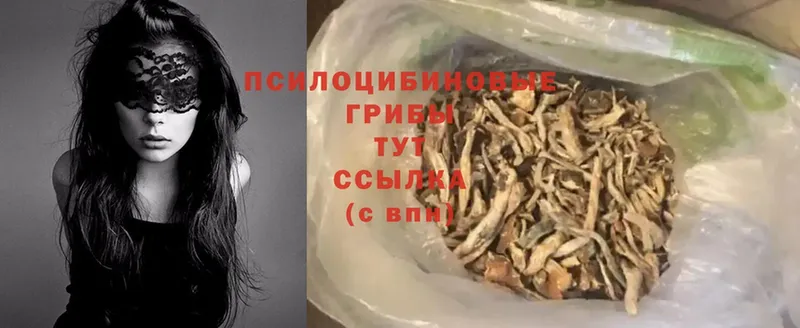 Галлюциногенные грибы MAGIC MUSHROOMS  наркошоп  Кодинск 